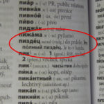 В чешских словарях — русский мат