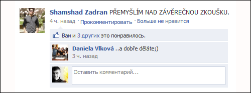 facebook_vlkova