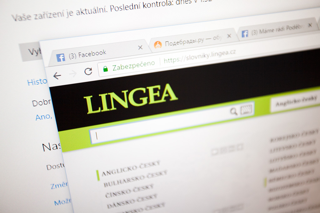 Онлайн-словари Lingea с платной подпиской